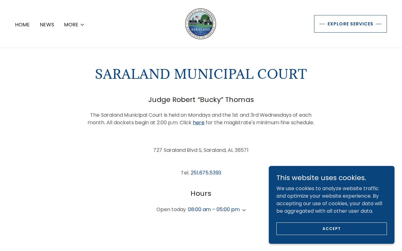 Saraland criminal history municipal court records page